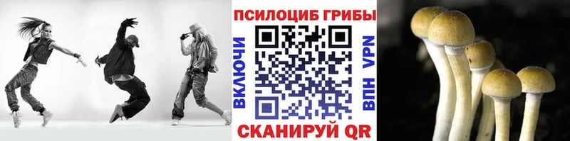 Псилоцибиновые грибы прущие грибы  Бородино 
