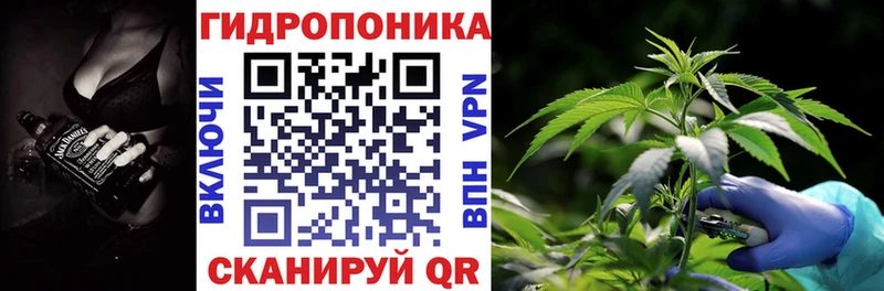 Канабис AK-47  дарнет шоп  Бородино 